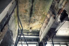 Best Attic Mold Removal  in Granville, WV